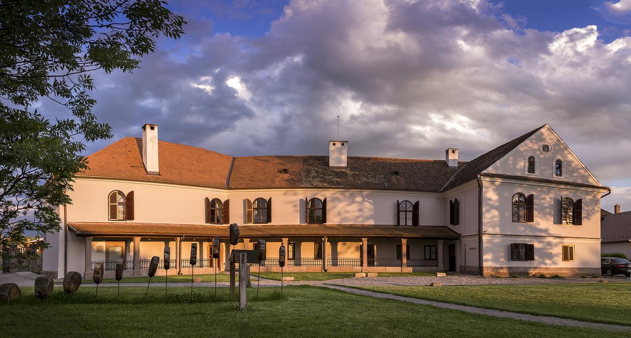 Castle Hotel Daniel Baraolt Extérieur photo